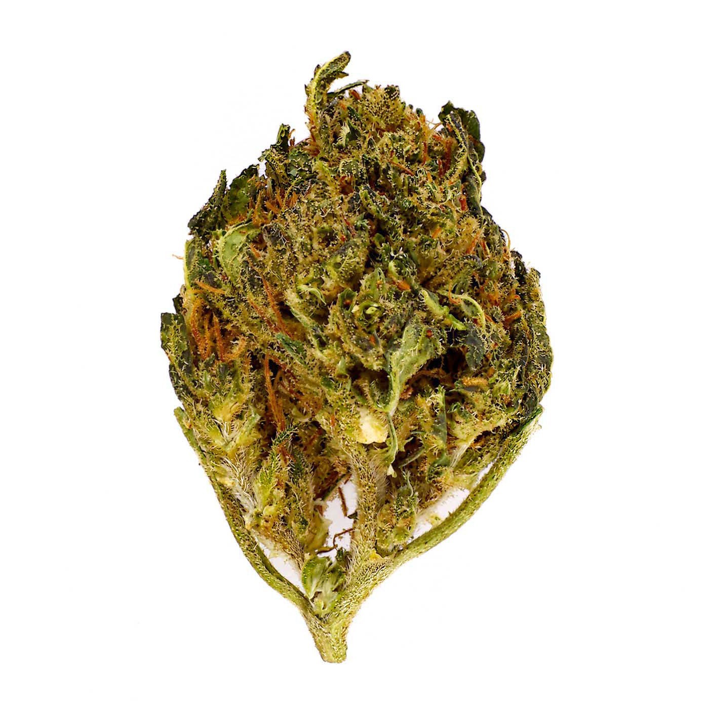 CBD-Blüte Royal OG Small Bud 15-19 % | Indica | 321CBD