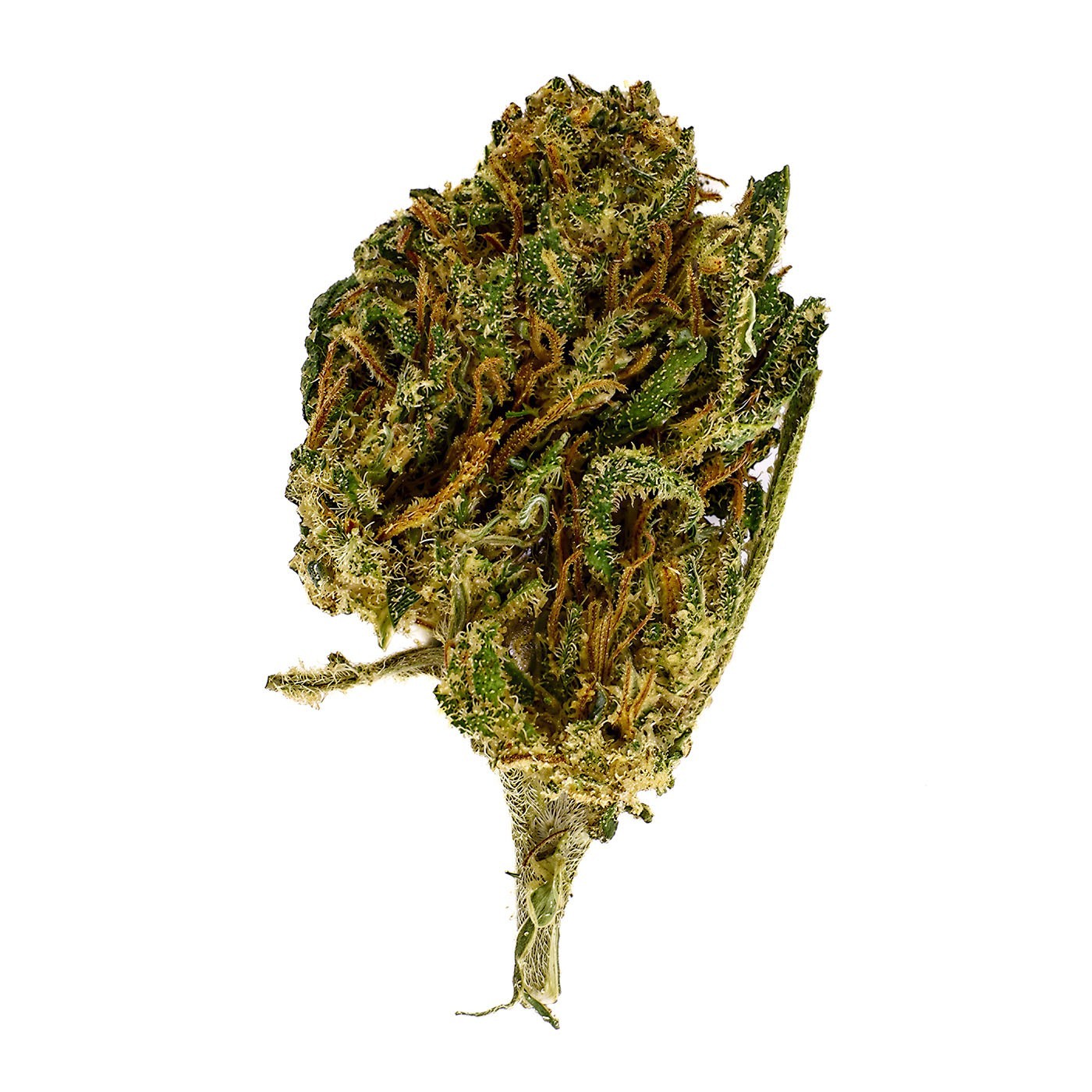 CBD-Blüte Lifter Small Bud 14-18 % | Sativa | 321CBD
