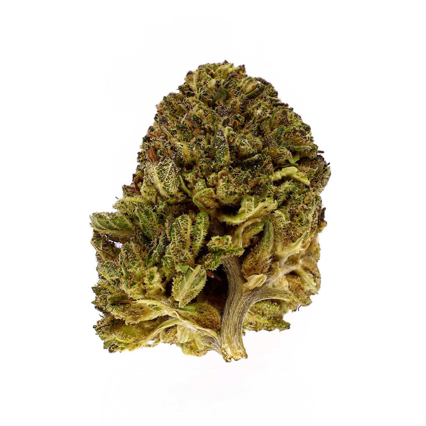 CBD-Blüte Bouba Kush Small Bud 16-20 % | Indica | 321CBD