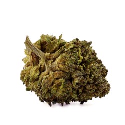 CBD-Blüte Bouba Kush Small Bud 16-20 % | Indica | 321CBD