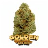 Golden Goal Big Bud, fleur CBD 22 % en édition limitée Coupe du Monde
