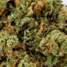 Amnesia Royal Hydro CBD Flower 11% | Sativa | 321CBD