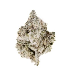 Fleur CBD White Zushi 71 % Infusée | Ice Rock | 321CBD