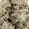 Fleur CBD White Zushi 71 % Infusée | Ice Rock | 321CBD
