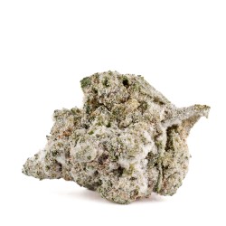 Fleur CBD White Zushi 71 % Infusée | Ice Rock | 321CBD