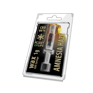 Wachs CBD Amnesia Haze 66% 1ML