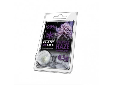 Terpsolator Purple Haze 99% CBD - 500mg
