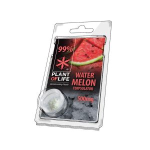 Terpsolator Watermelon 99% CBD - 500mg