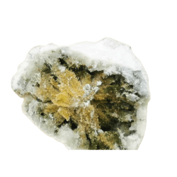 Fleur CBD Asteroid Comet 85%