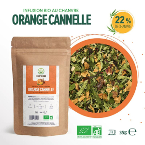 Infusion BIO orange cannelle