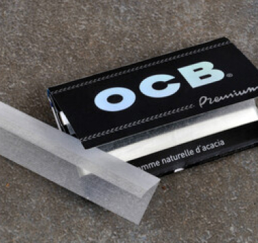 240_F_518728690_mr76NFw8HInGi3DU2xHDgFC0WIALPjFm