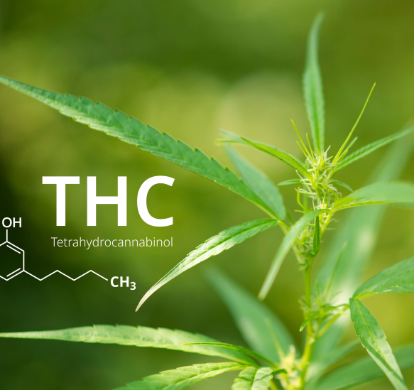 AdobeStock_293382430 (1)