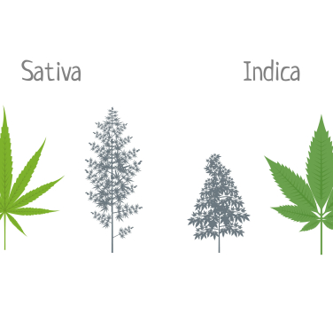 AdobeStock_111706162 (1)