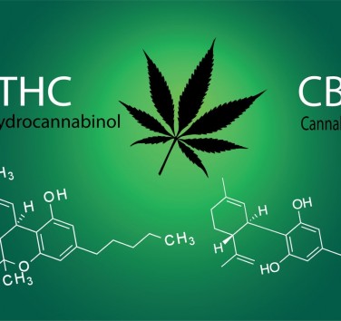 THC and CBD