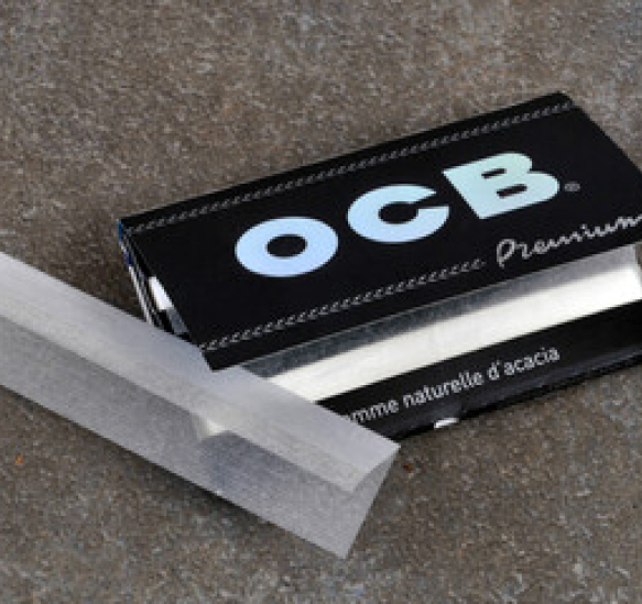 240_F_518728690_mr76NFw8HInGi3DU2xHDgFC0WIALPjFm