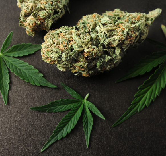 AdobeStock_430980338 (1)