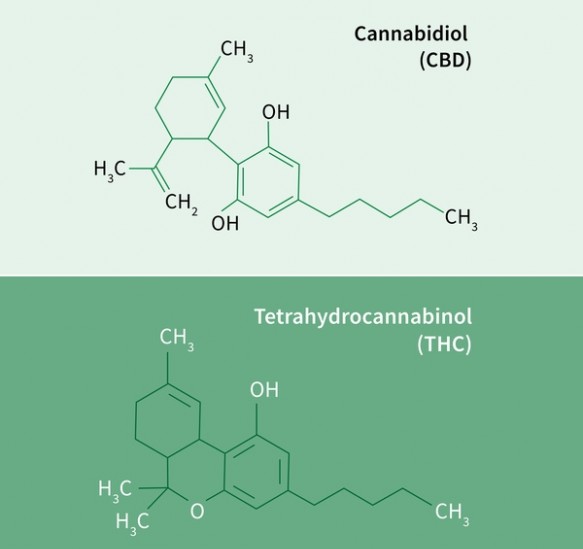 image a? la une - taux thc hausse comp