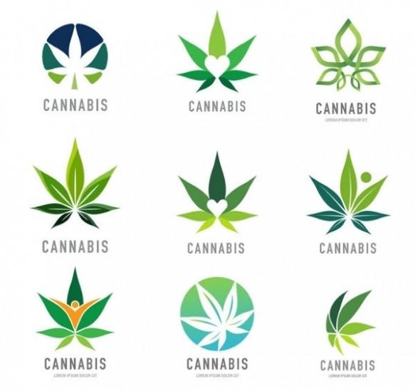 cbd-oms-principale