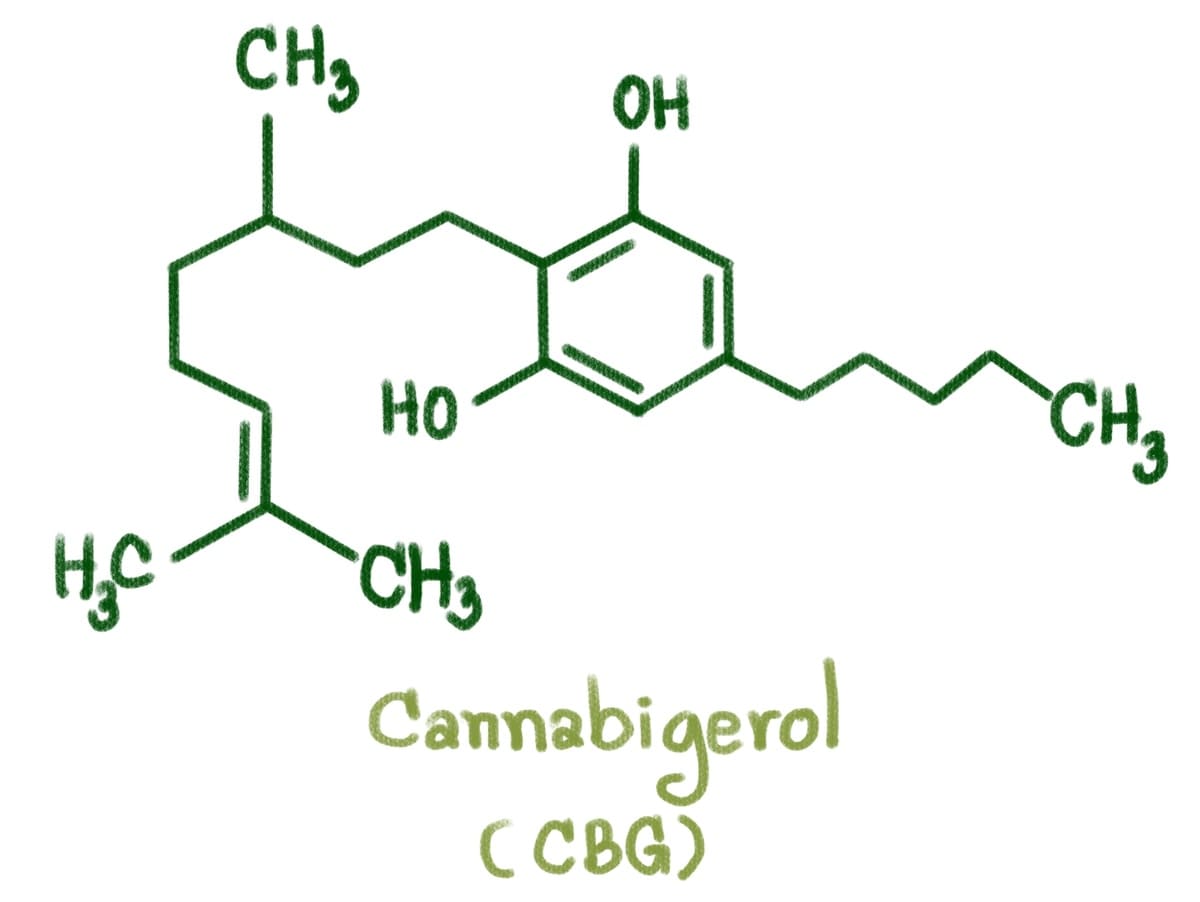 CBG und Vorteile