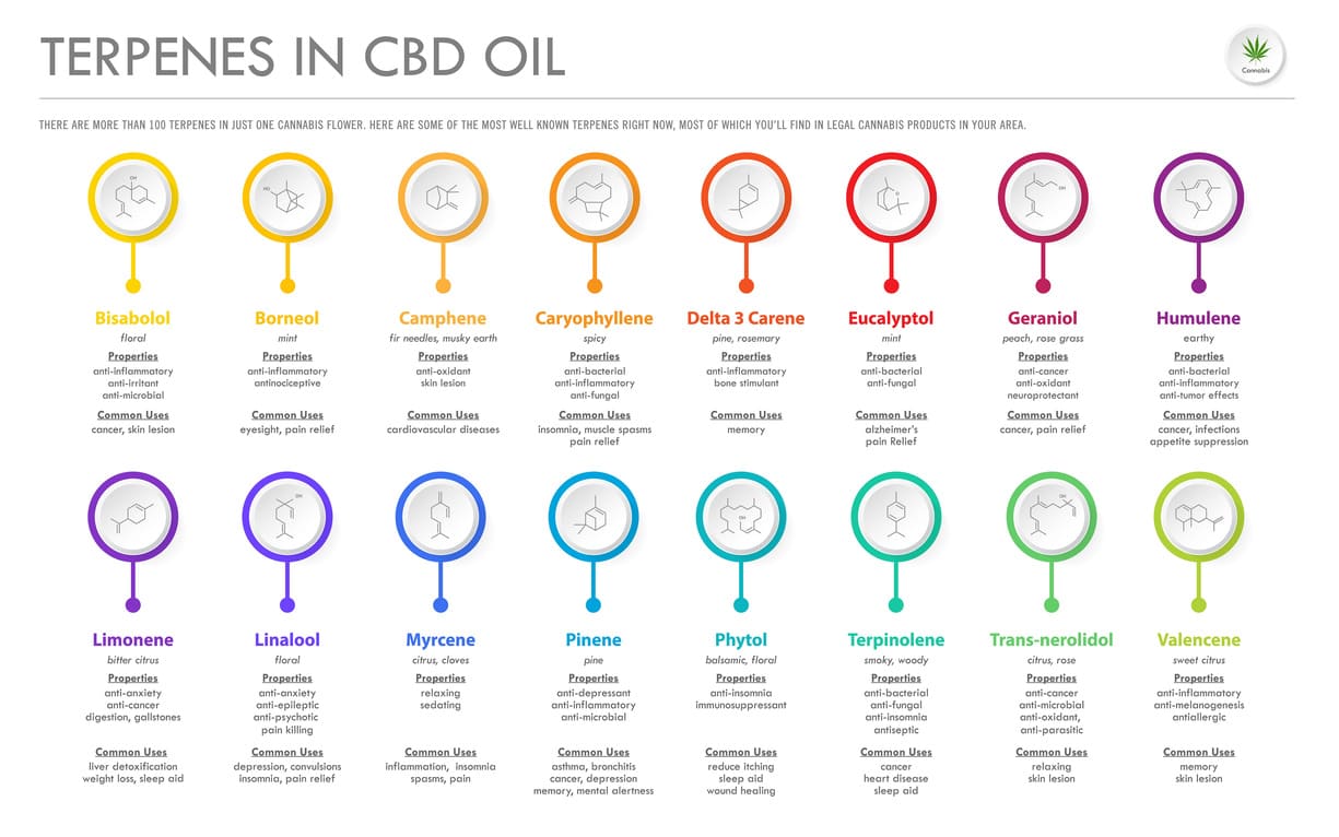What are terpenes in cbd oil