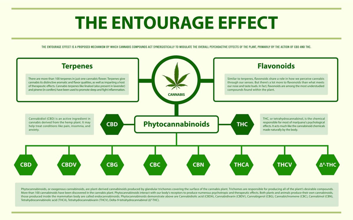 CBD et effet entourage