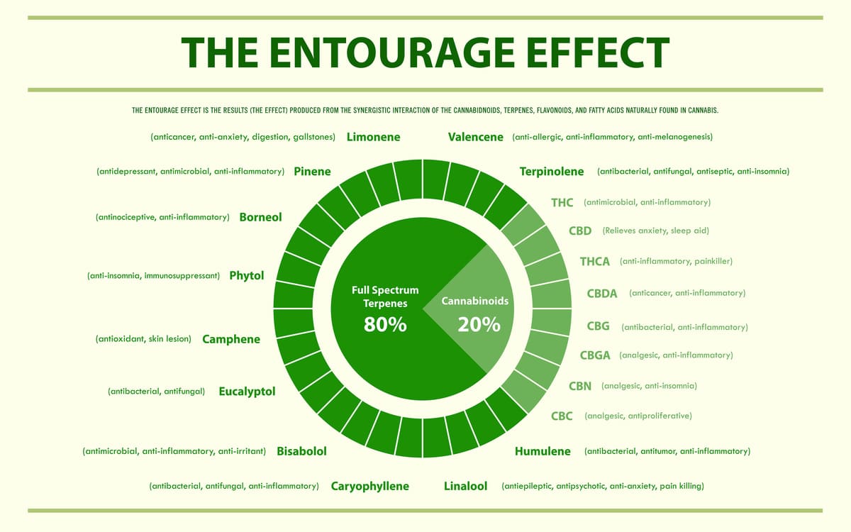 Effet entourage CBD