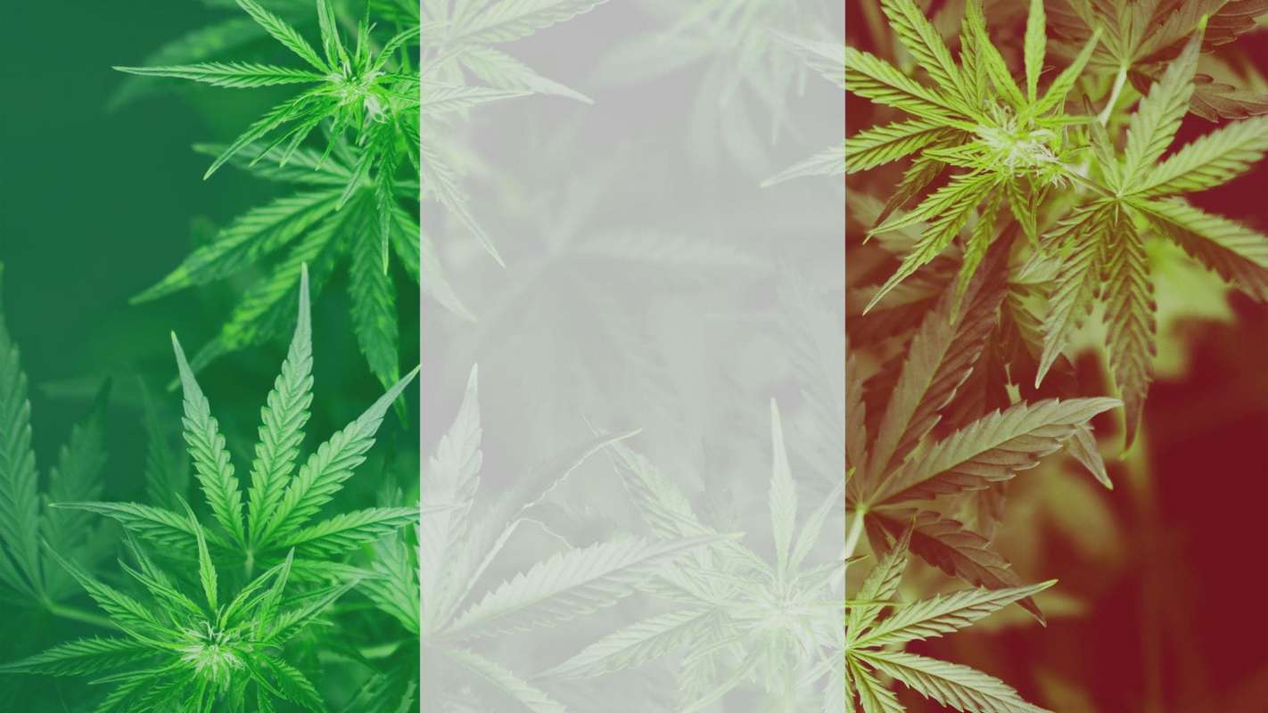 cannabis en italie