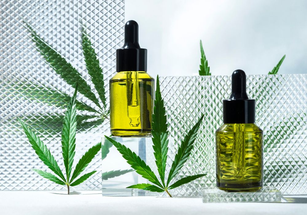 top 3 cbd oils 2024