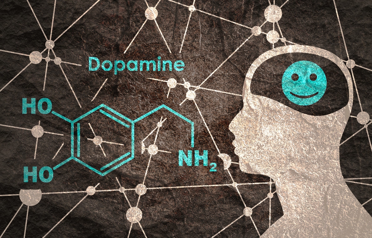 CBD cerveau dopamine