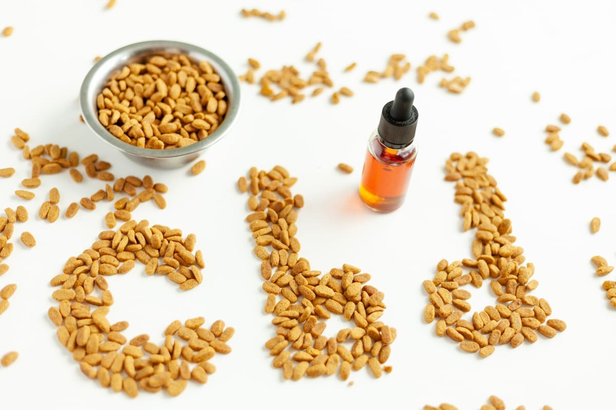 cbd appetite digestion dog