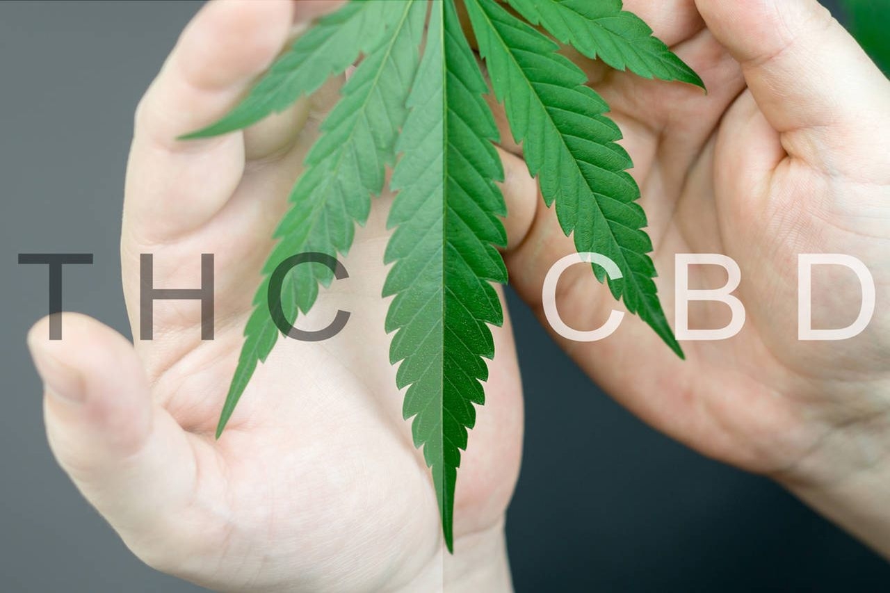 CBD roznice