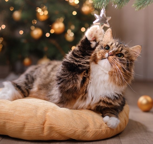 AdobeStock_125526635 (1)